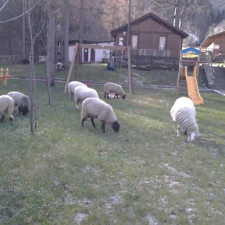 Salza di Pinerolo B&B La Miando מראה חיצוני תמונה